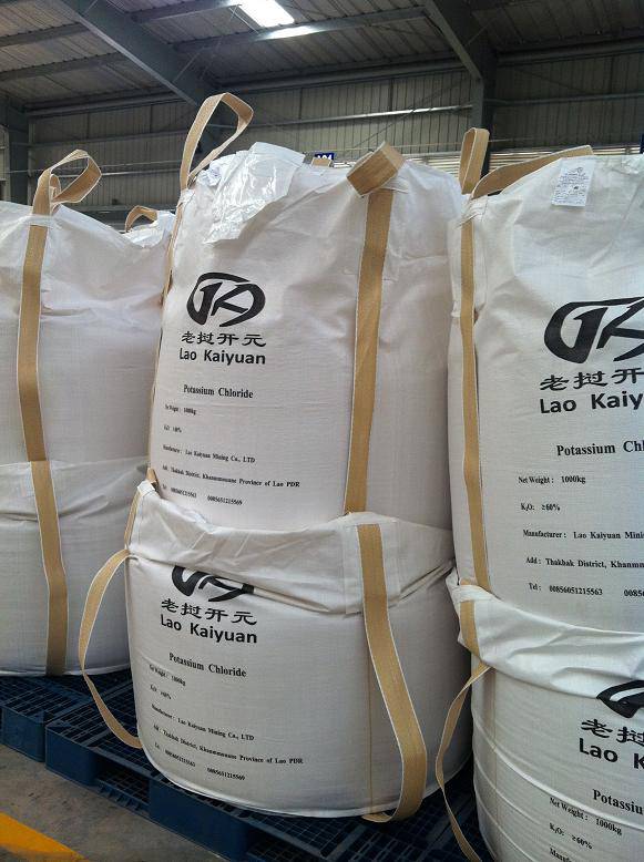 w88win优德(中国)官方网站